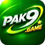 PAK9 Game